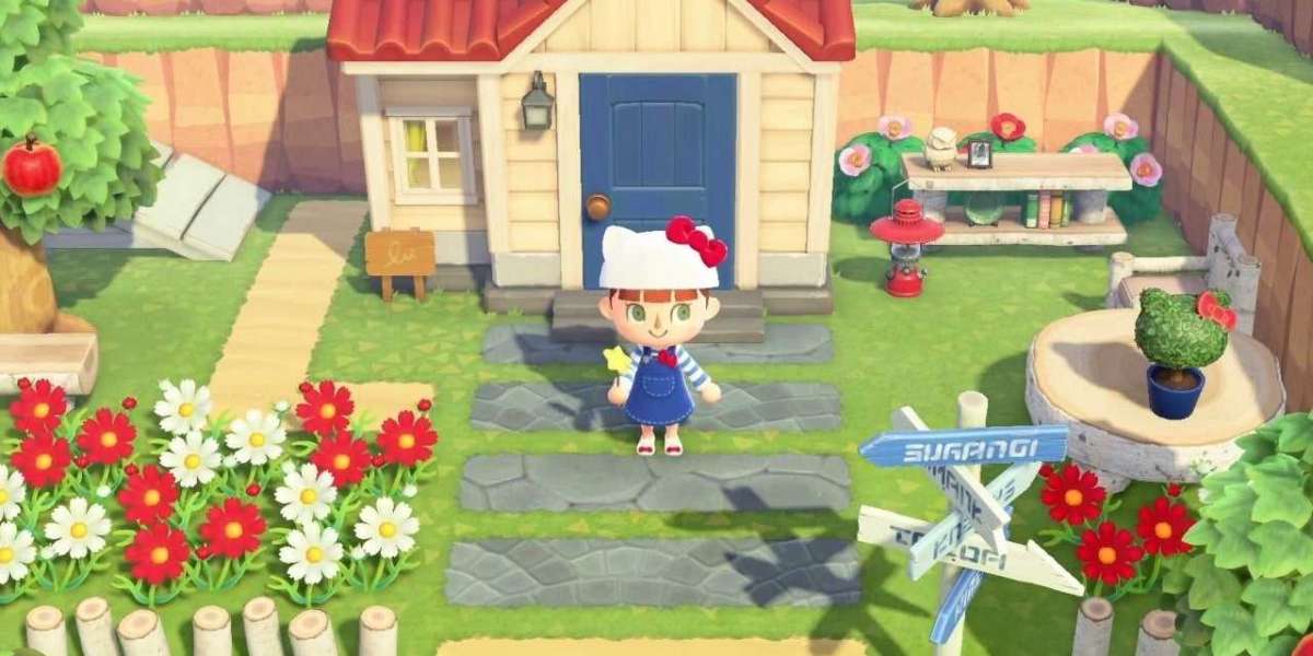 Animal Crossing: New Horizons Player Shows Off Custom Joy-Cons