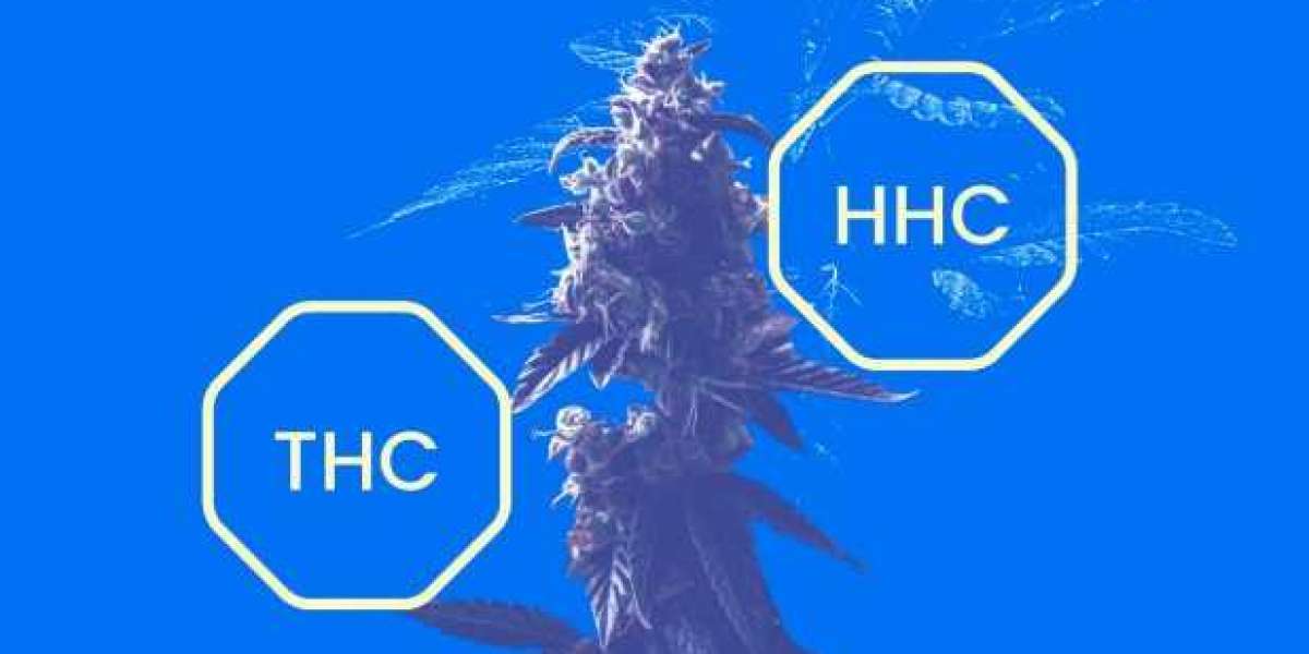 Maximiser l'effet d'entourage avec HHC : comment améliorer votre expérience du cannabis