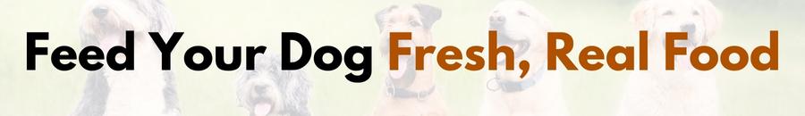 The Dog Food Story - Best Dog Food Reviews Website