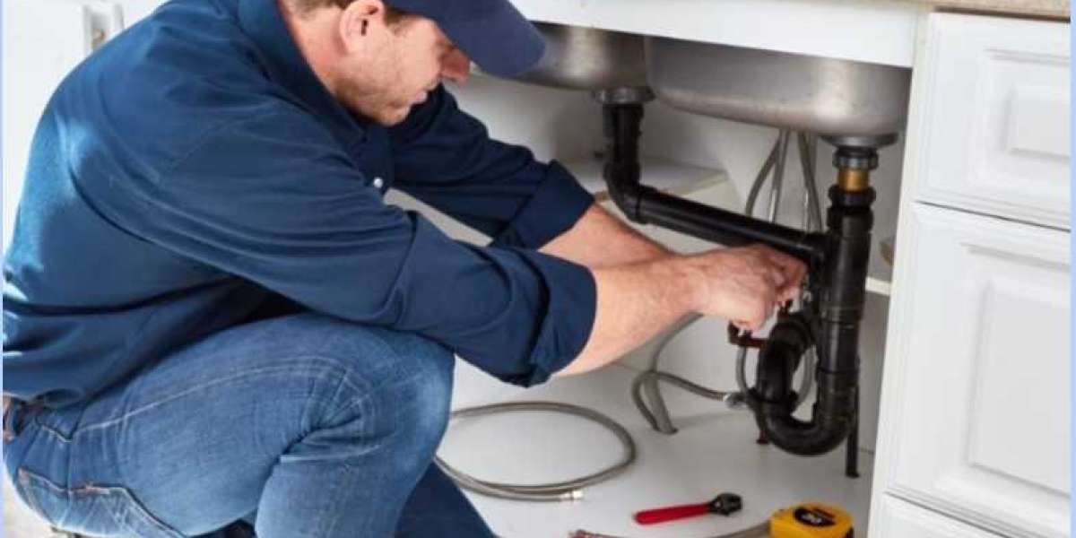For what reason Do Plumbers Need a Permit in Practically All States?