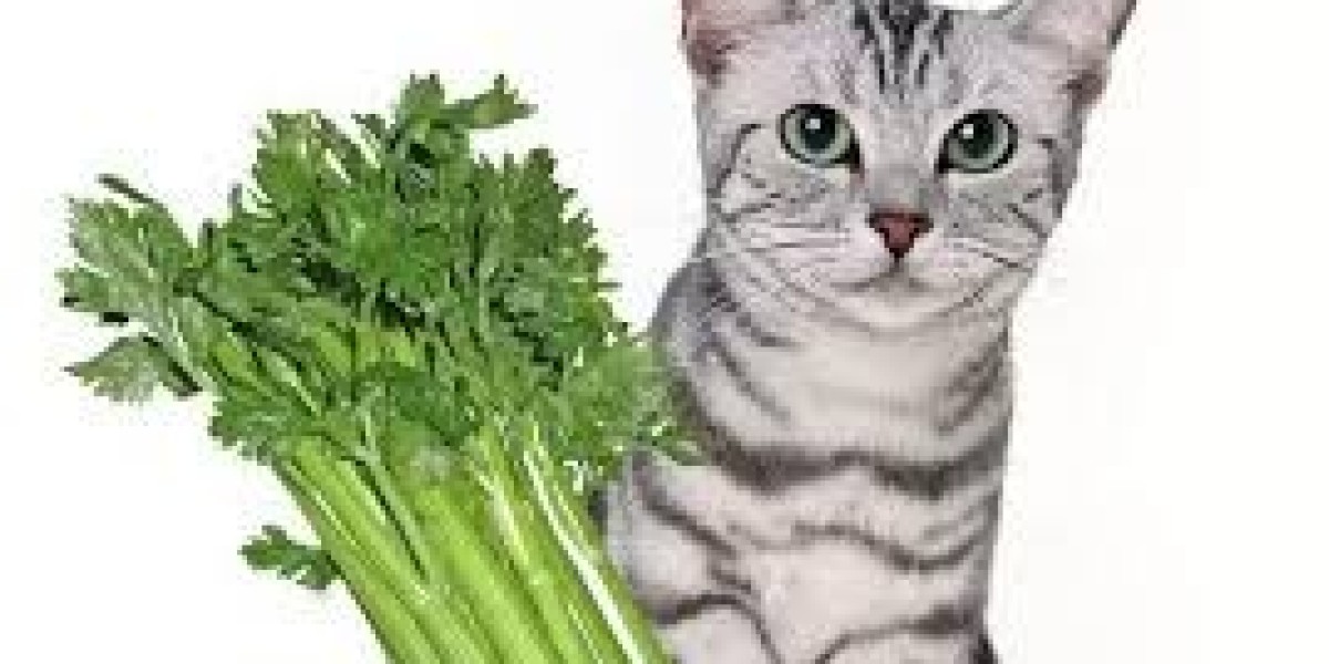 The Potential Risks of Pineapple Leaves for Cats: Understanding Feline Toxicity