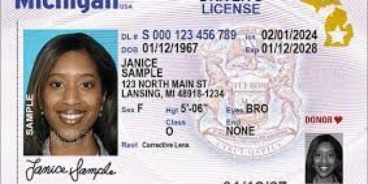 Exploring the Design and Functionality of the Michigan Driver's License Template