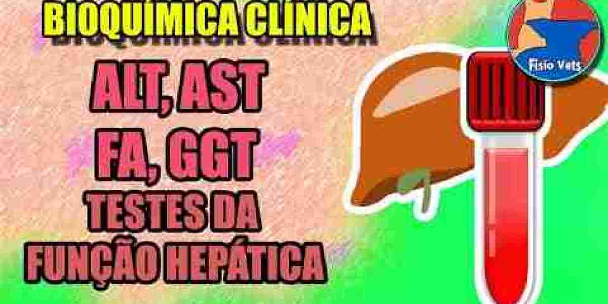 Hemodiálisis en veterinaria: un tratamiento imprescindible para las mascotas con insuficiencia renal