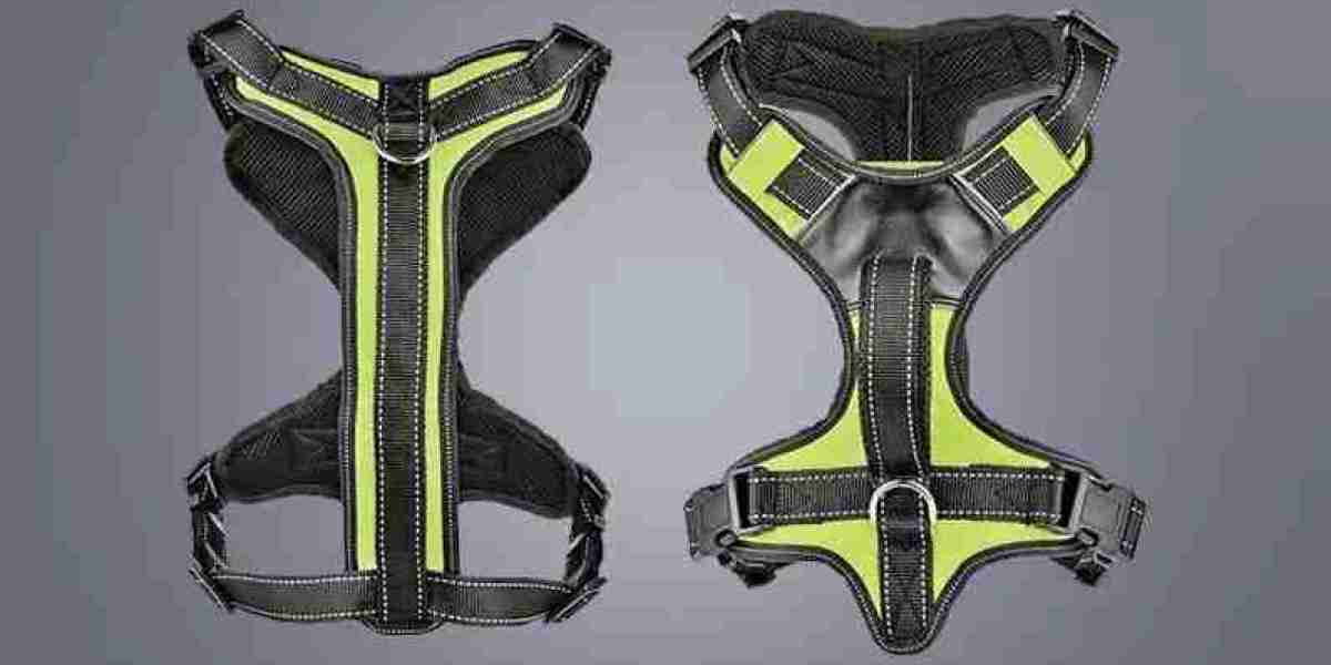 Choosing the Suitable Dog Harness