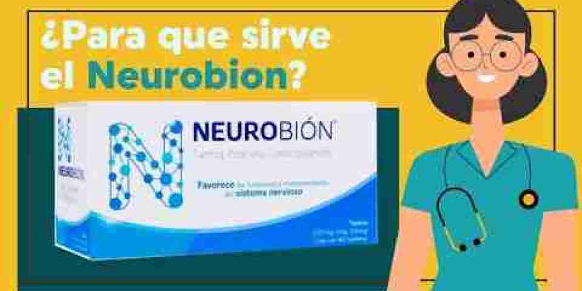 Qué es la ruda y para qué sirve: las propiedades de esta planta medicinal, sus contraindicaciones y cómo prepararla