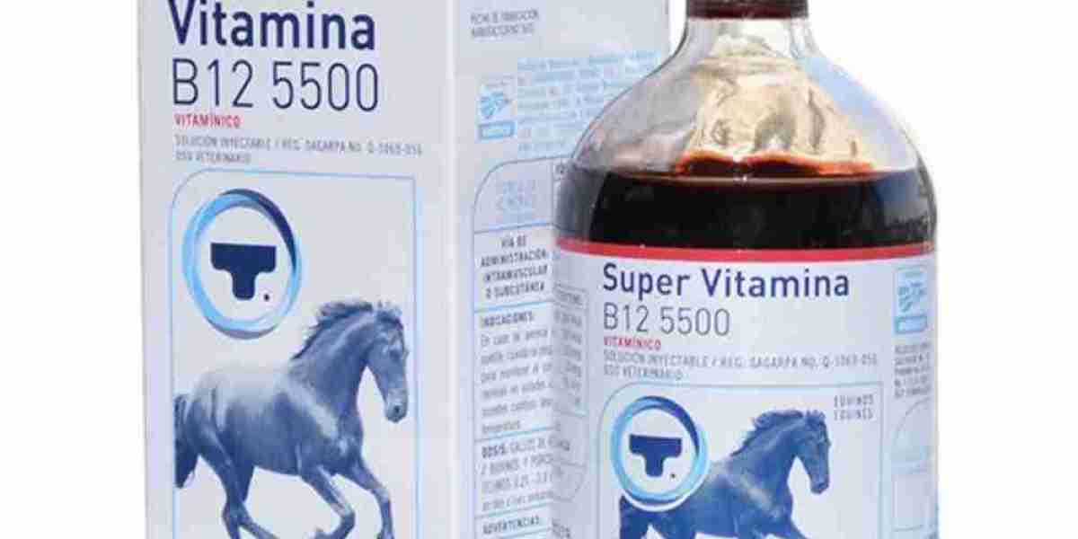 Vitamina B12: para qué sirve, alimentos y cuándo tomar su suplemento