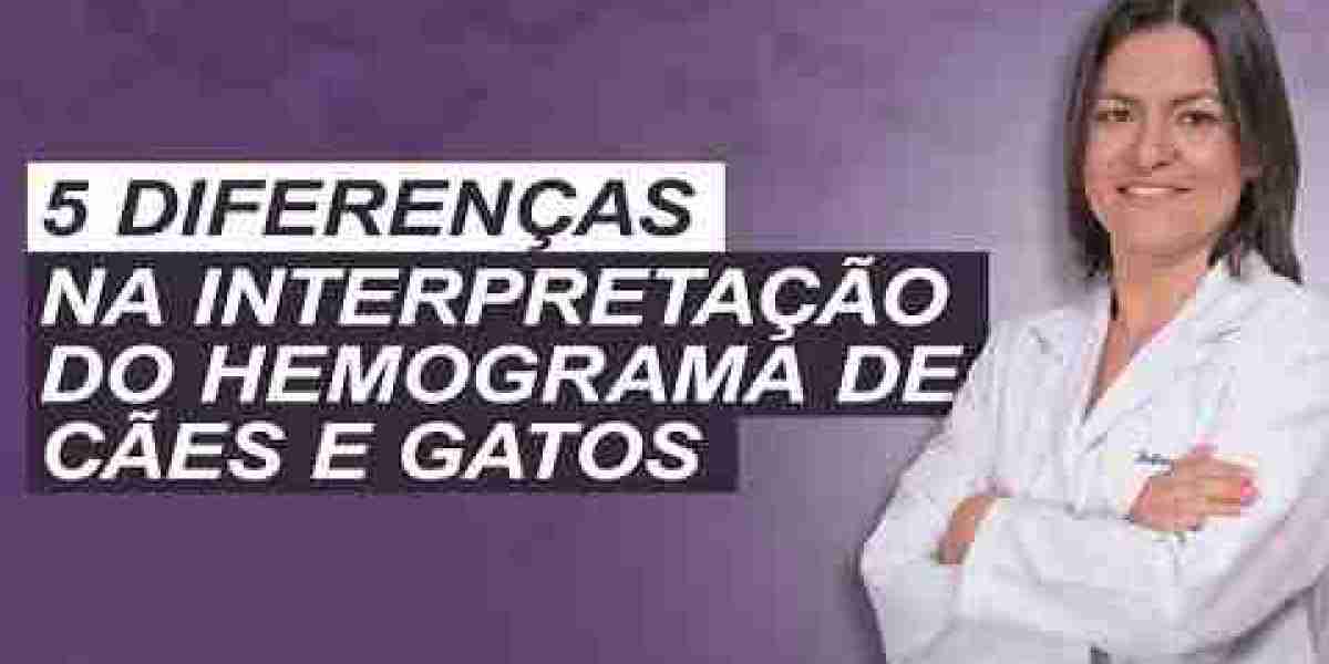 Os Melhores Remédios para Combater o Hipotireoidismo em Cães: O Que Você Precisa Saber