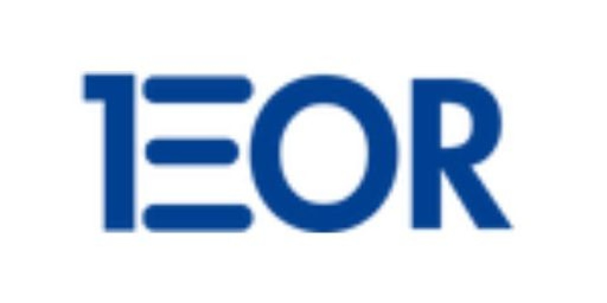 How Payroll Software is Transforming Global HR