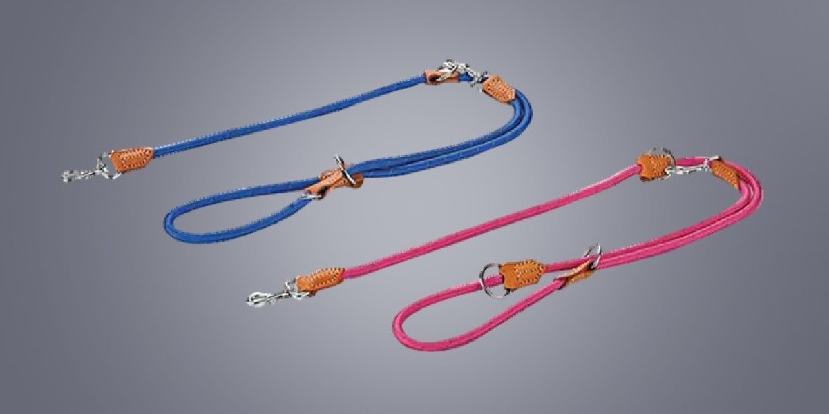 Reducing Friction and Enhancing Comfort with a Braided Rope Dog Leash