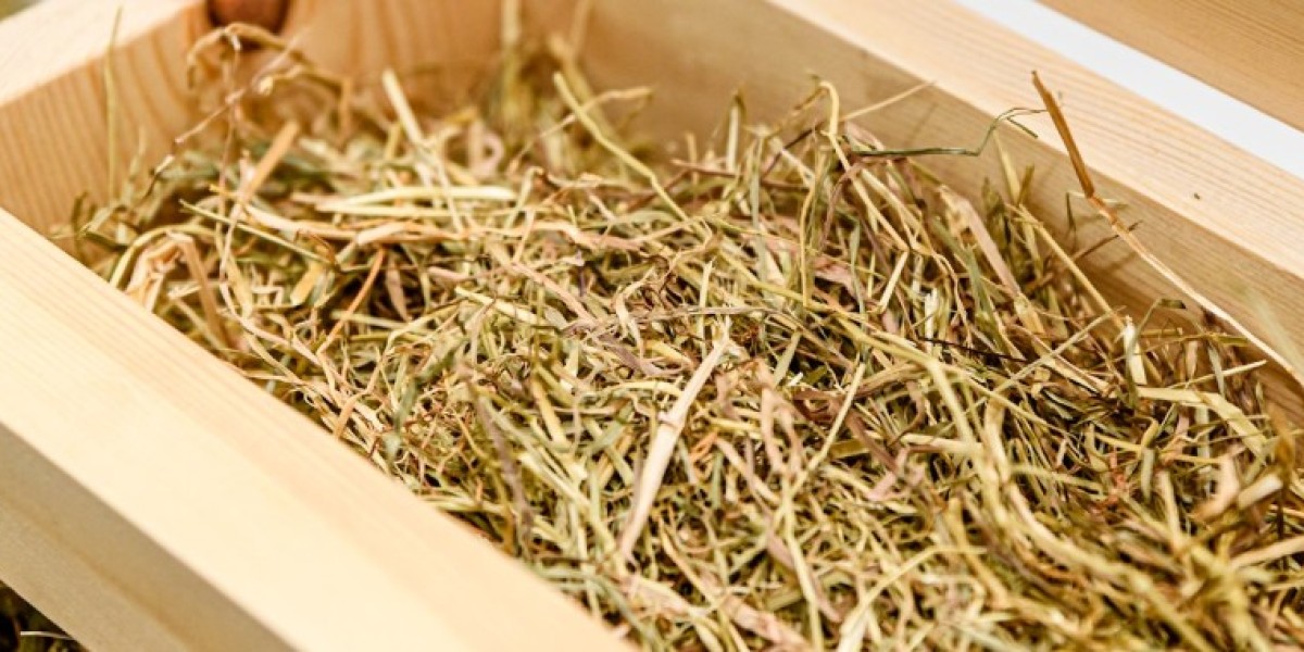 Selecting the Ideal Hay Feeder for Your Rabbit