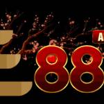 AEE 888