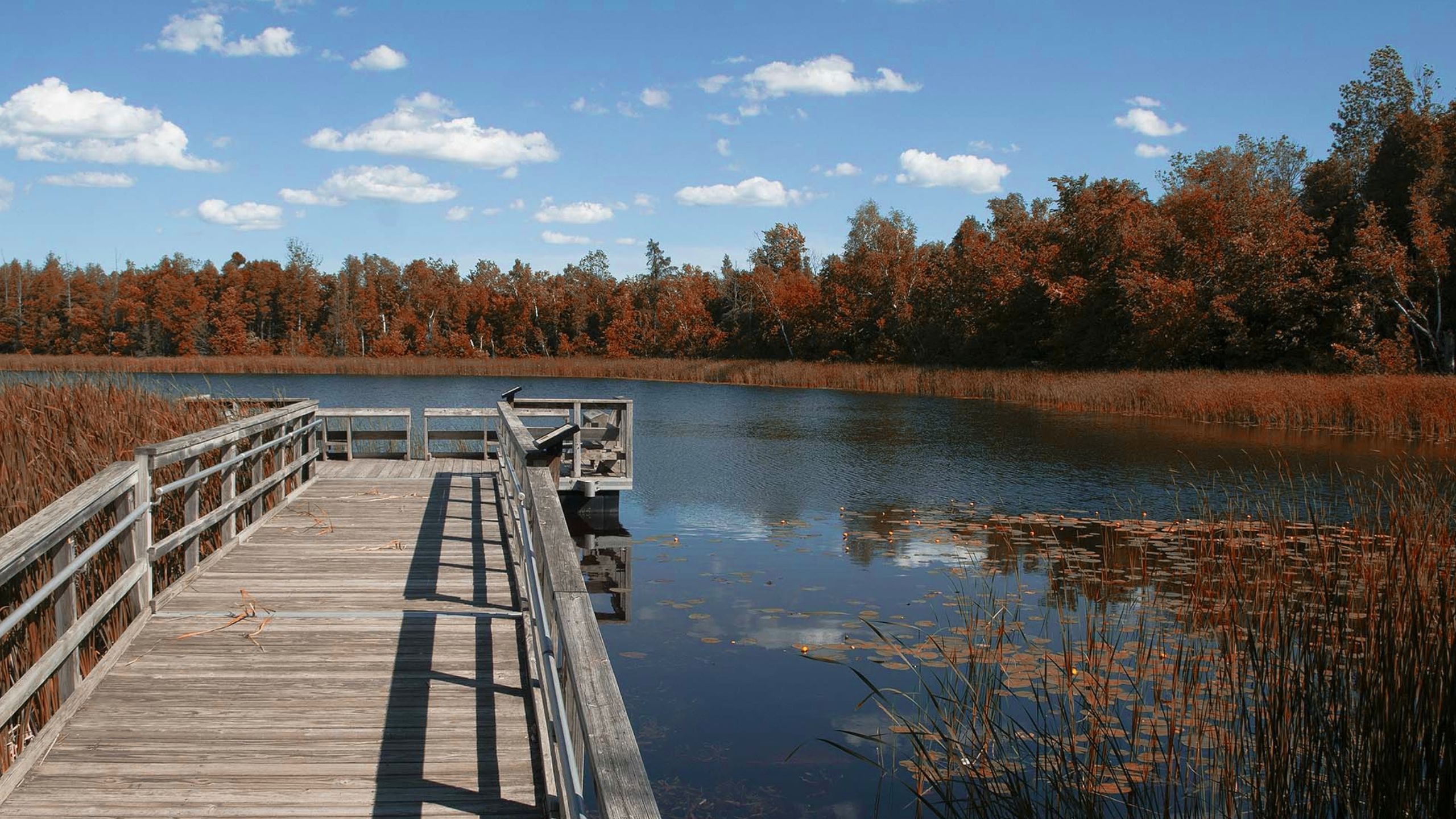 Best Places to Visit on Lake Michigan in Wisconsin - Rosct