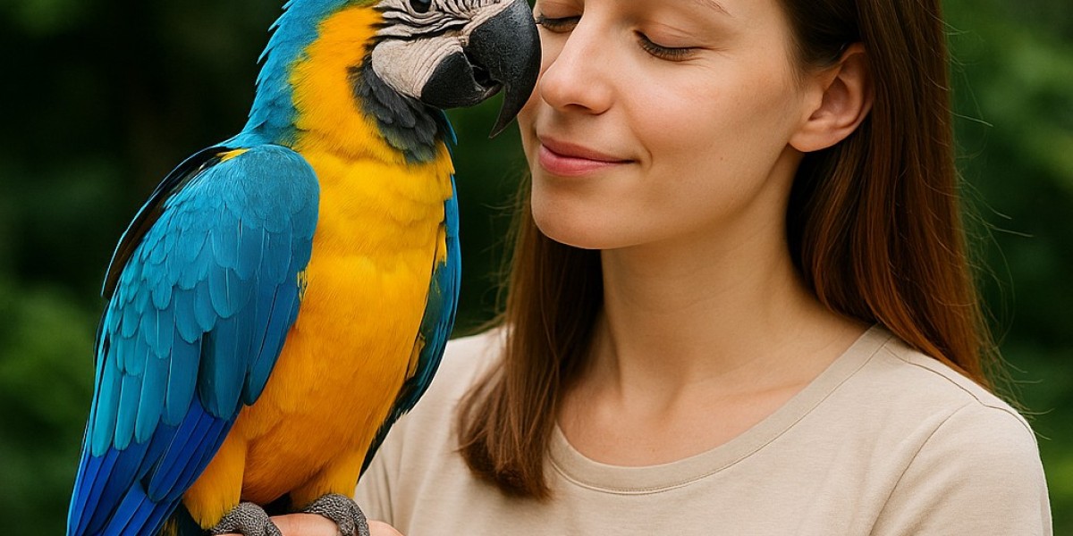 Bright, Bold, and Brilliant: Why the Blue and Gold Macaw Is the Ultimate Companion Parrot