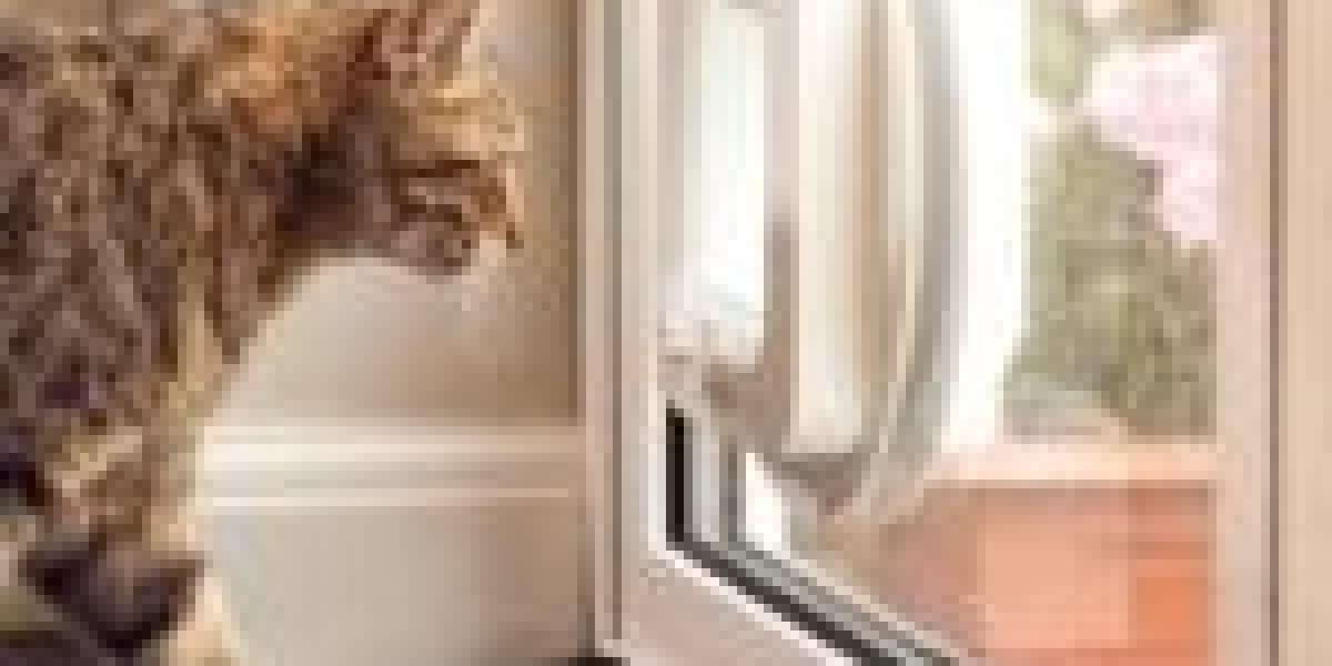 10 Untrue Answers To Common Cat Door Assembly Questions: Do You Know The Right Ones?