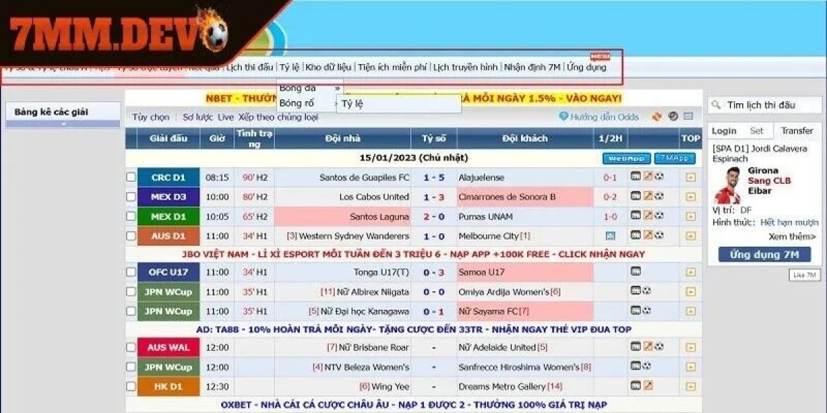 7M Sports Review: Real-Time Brilliance