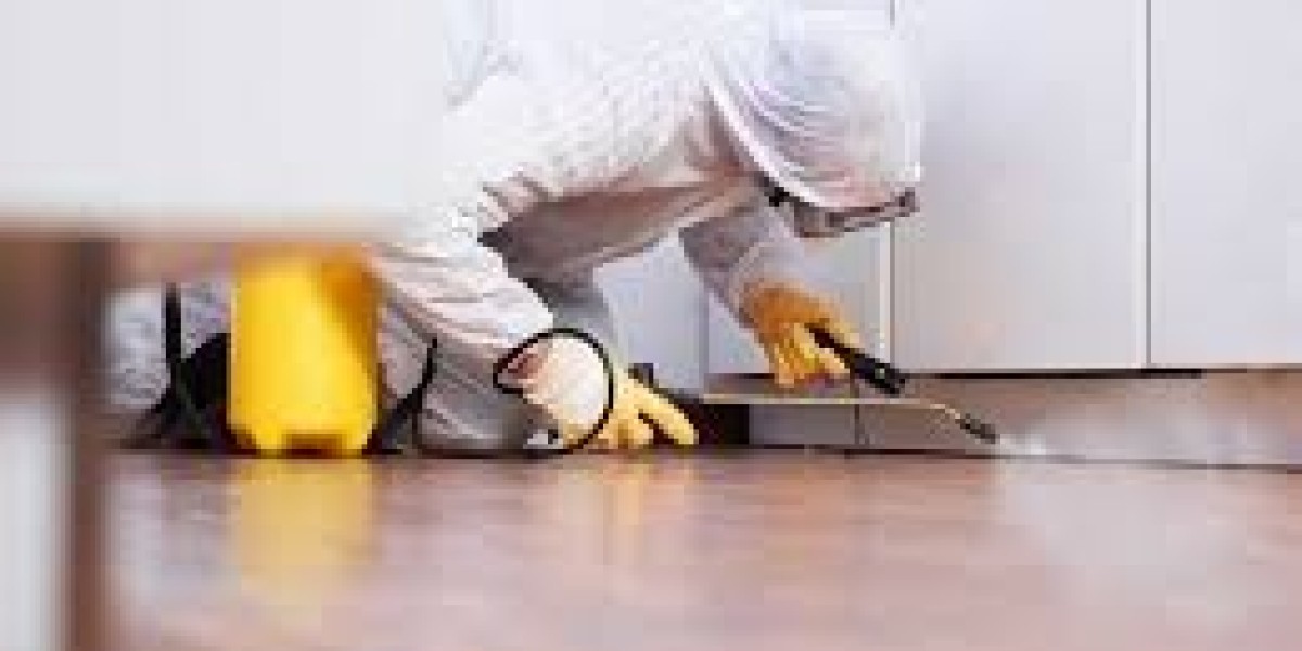Expert Mold Remediation Services in Los Angeles by Meticulosity Cleaning and Restoration
