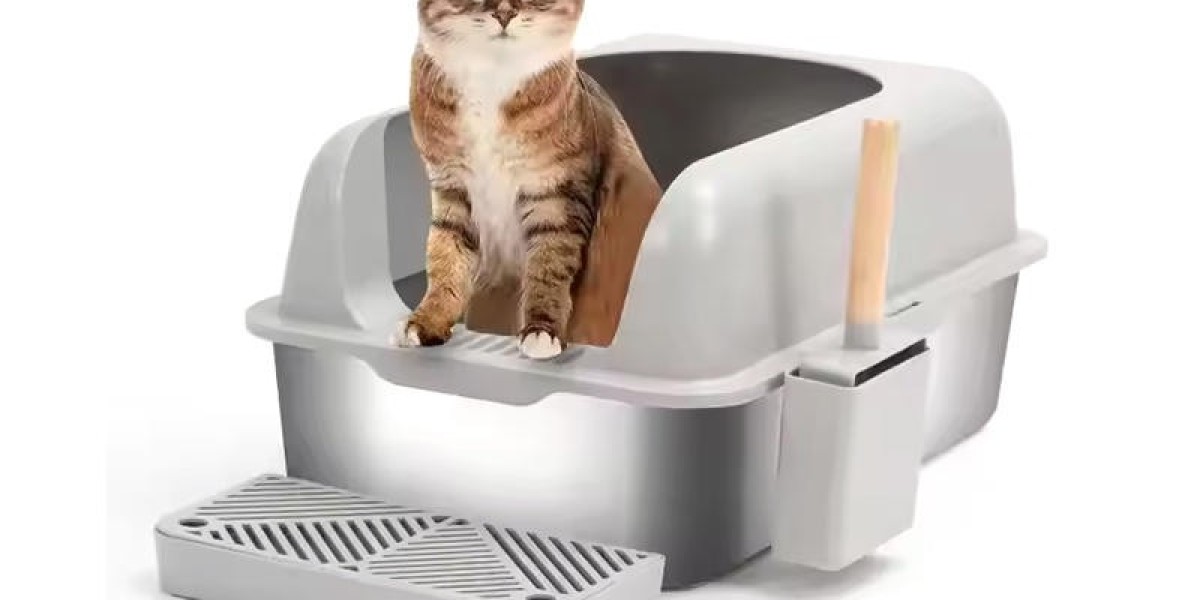 Can an Automatic Cleaning Cat Litter Box Really Keep Your Home Odor-Free and Your Cat Happy?