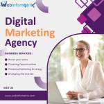 SEO Agency France