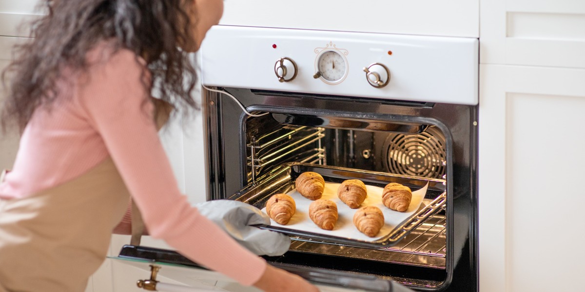 Why Is Integrated Electric Oven So Famous?