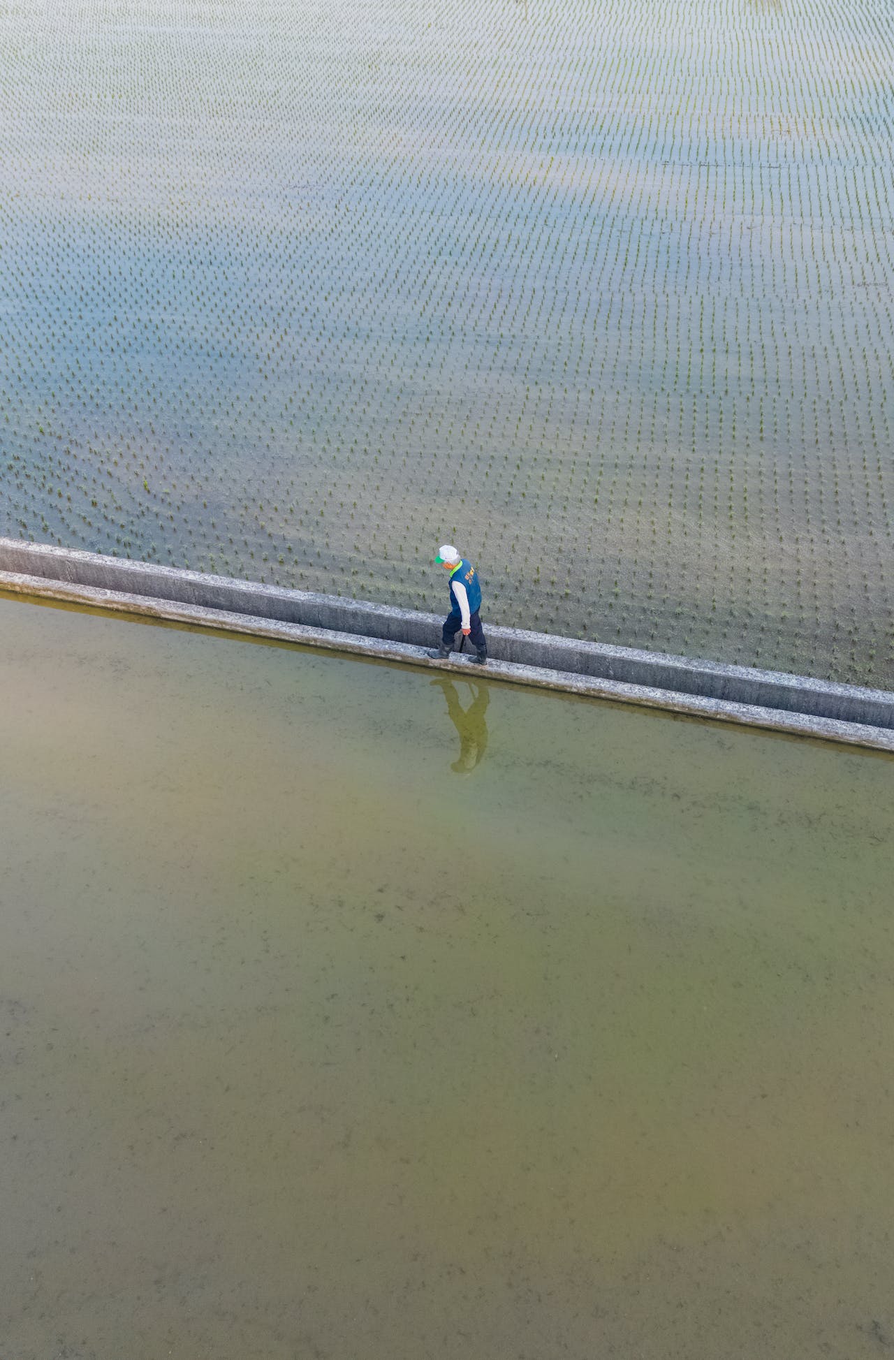 Irrigation Water Quality Testing: Ensuring Healthy Crops and Safe Consumption - ISSPLLAB
