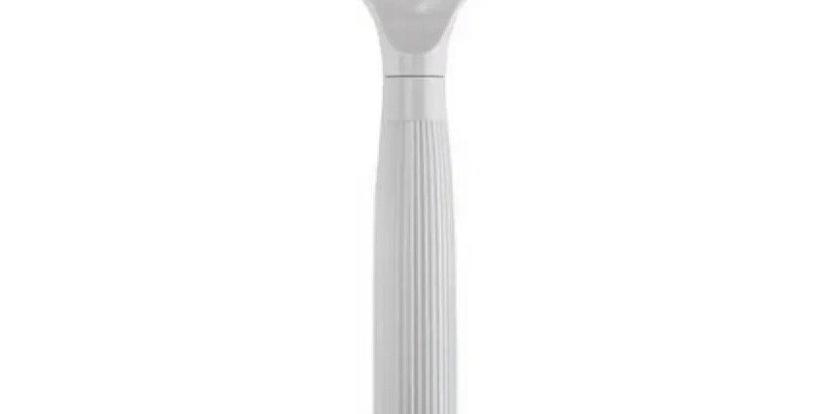 Transform Your Home Cleanliness with the China Pet Hair Scraper Today