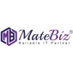 Matebiz Pvt Ltd