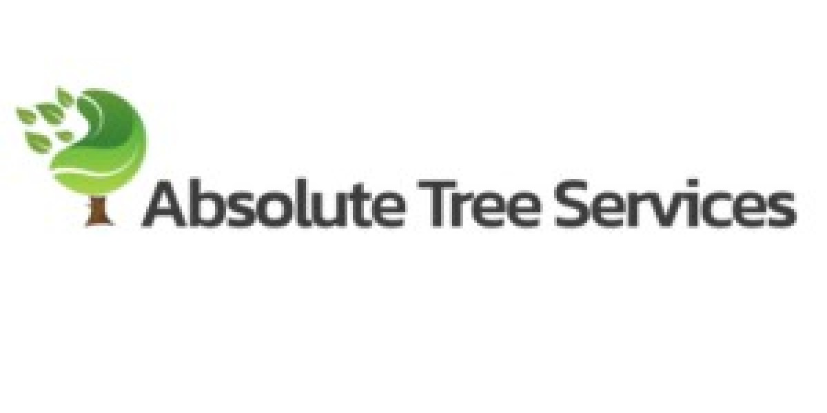 Reliable and Insured Stump Grinding Technicians in Penrith NSW