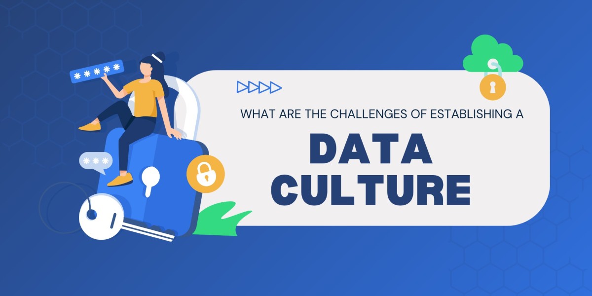 What Are the Challenges of Establishing a Data Culture?