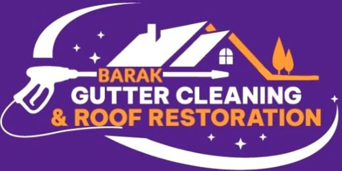 Professional Gutter Cleaning in Frankston – No Mess, No Stress