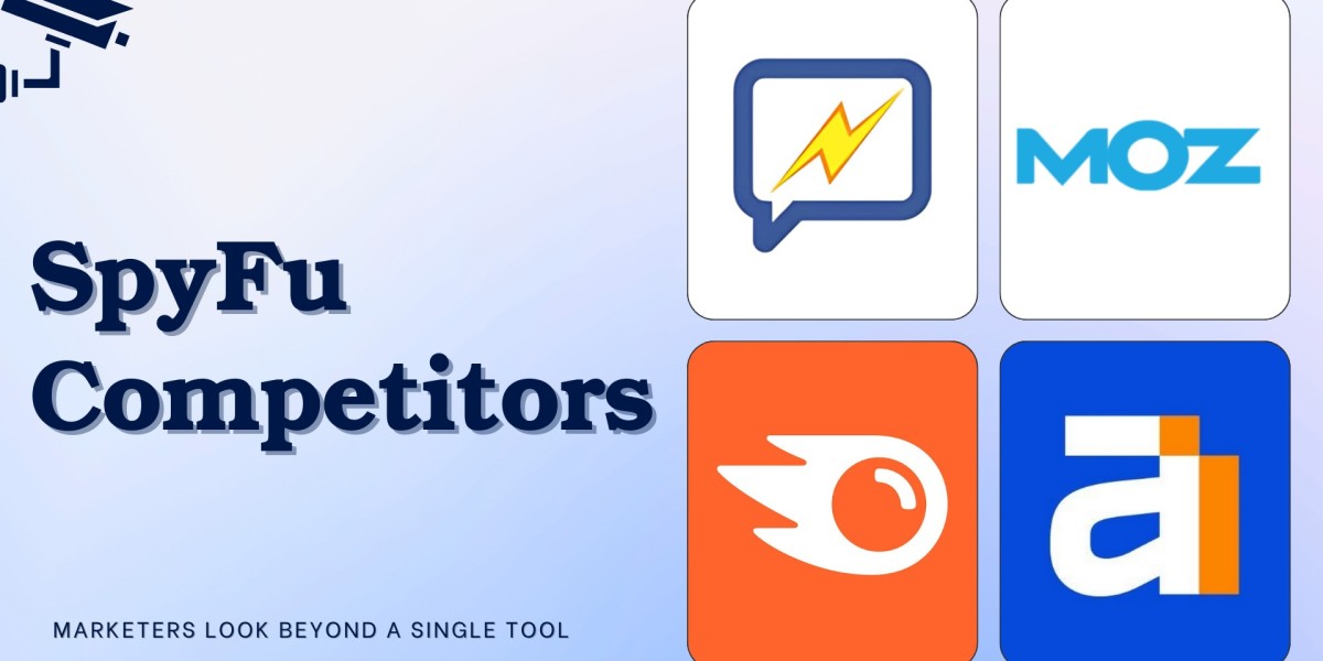 Are SpyFu Competitors Delivering Better Marketing Insights?