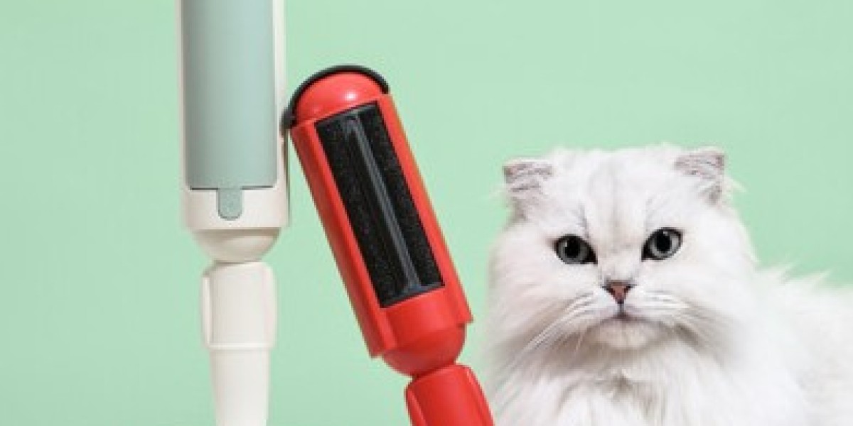 Hair Remover Roller by TallFly Makes Couch Cleaning Simple