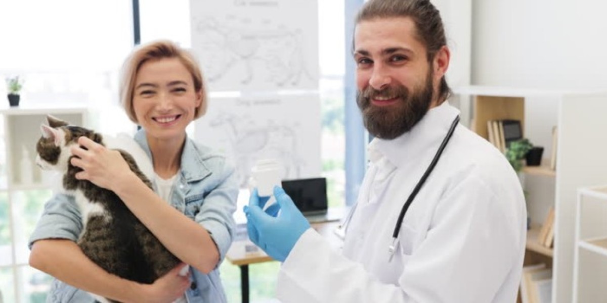 Affordable Vet Care Near Me: Budget-Friendly Tips Without Skipping Essentials