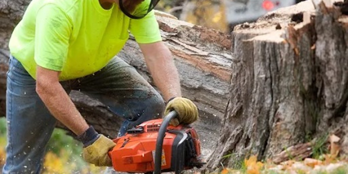 Professional Local Stump Grinding Service in London, Ontario