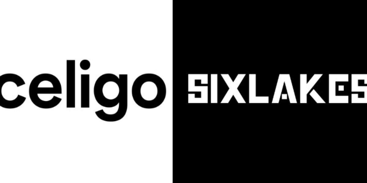 ShipStation Celigo Integration | SixLakes Consulting