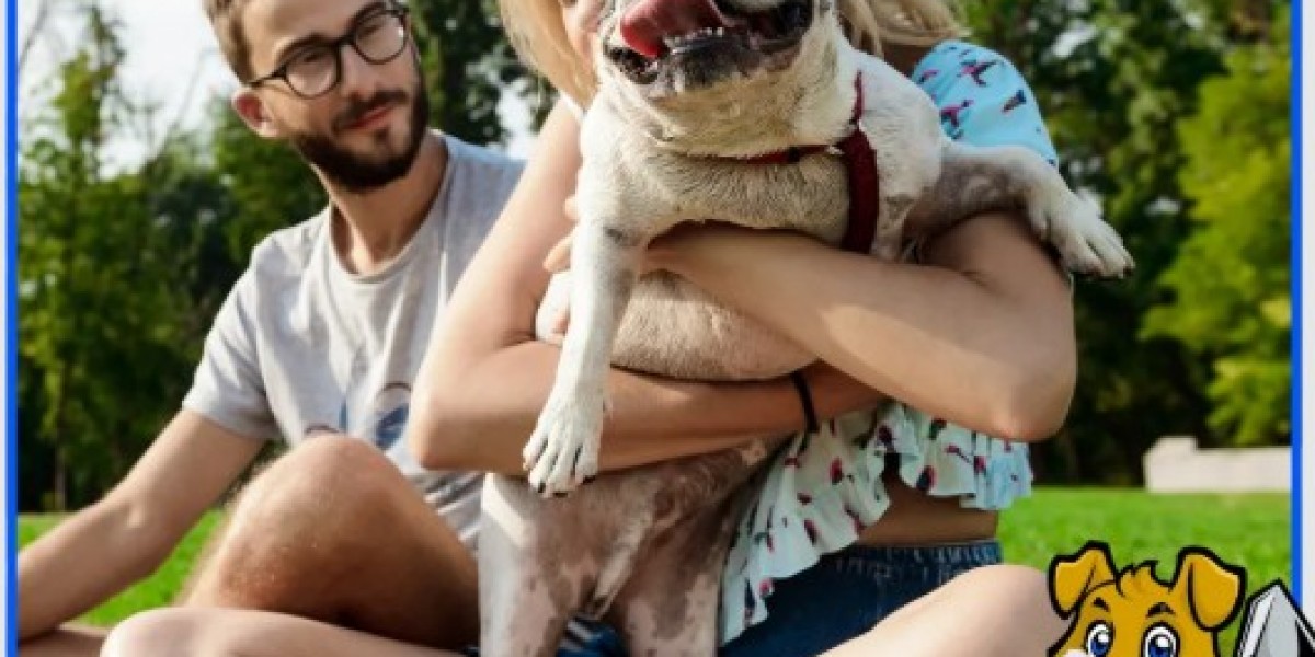 Best Dog Pooper Scooper Services Near You: Keep Your Yard Clean and Fresh