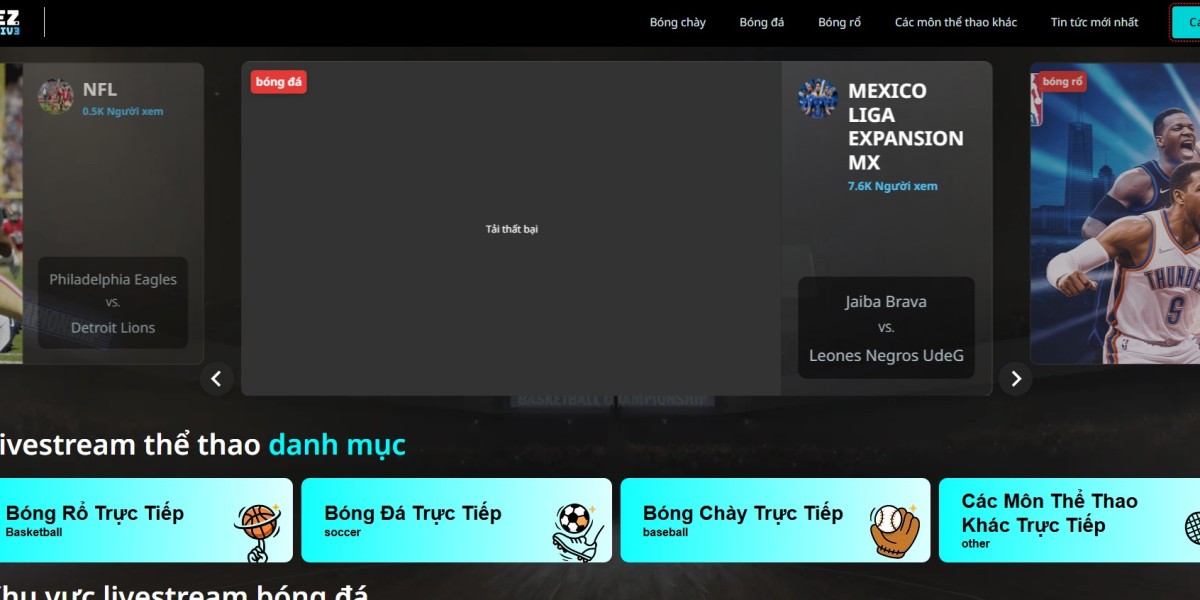 Everything You Need to Know About the 2026 FIFA World Cup