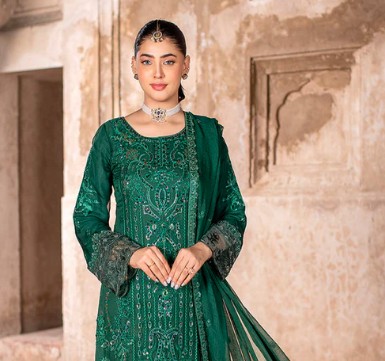 Pakistani Winter Dresses