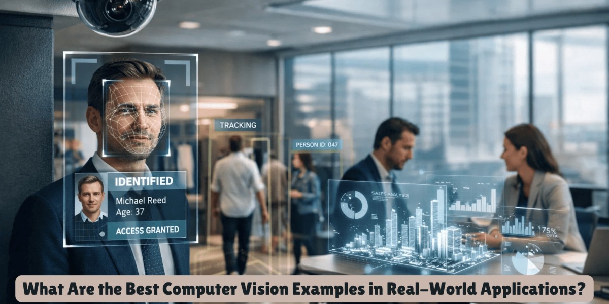 What Are the Best Computer Vision Examples in Real-World Applications?