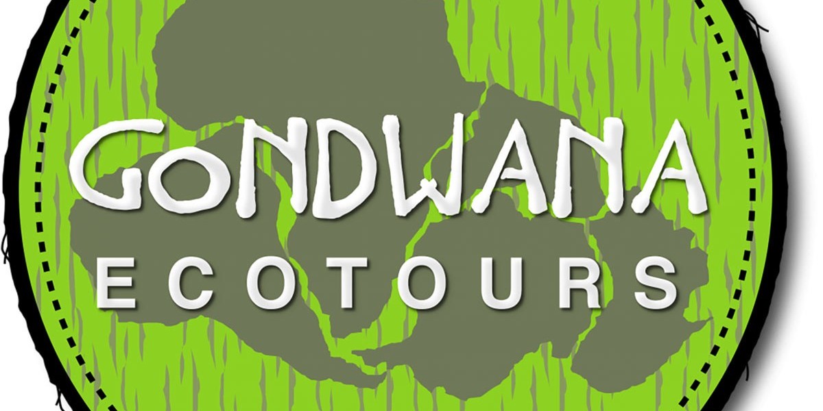 Bear Catching Salmon