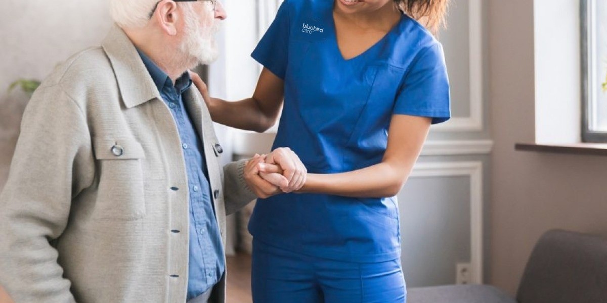 Home Companion Care for Seniors in Barnet: Creating Comfort, Connection and Independence at Home