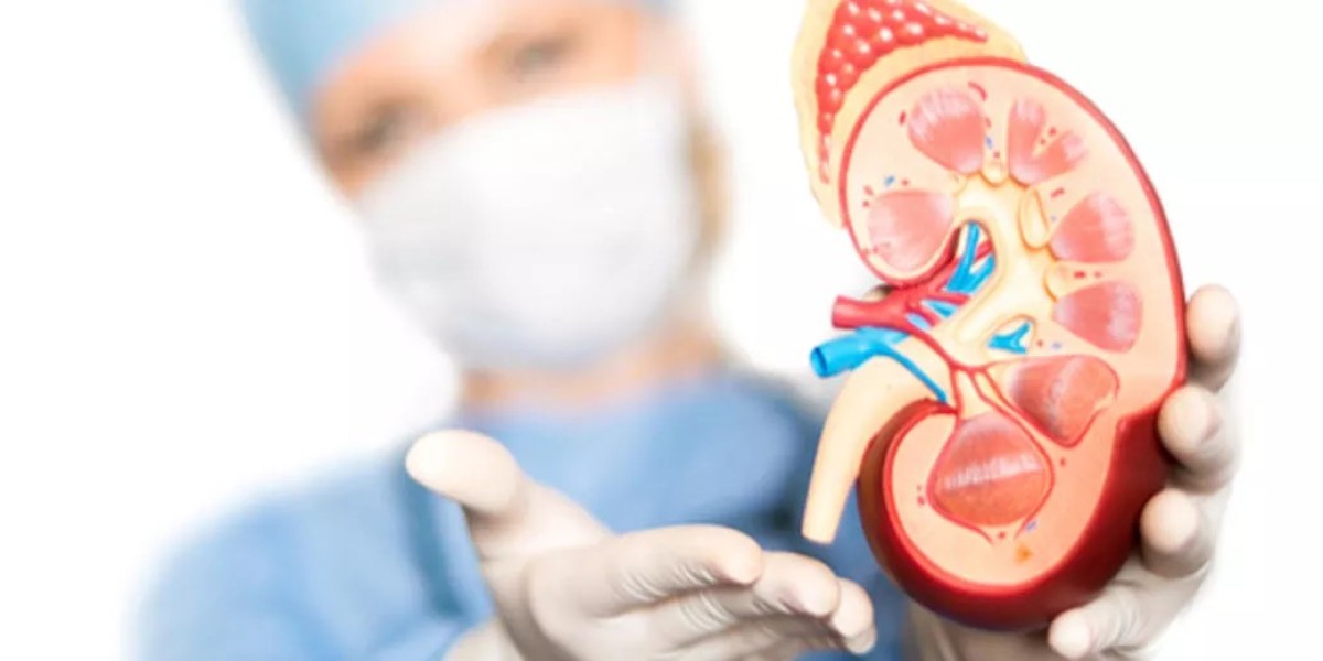 Finding the Right Care for Kidney Transplant in Bangalore