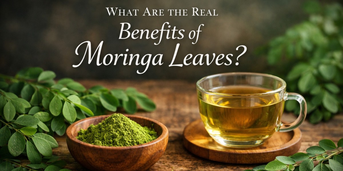 What Are the Real Benefits of Moringa Leaves?