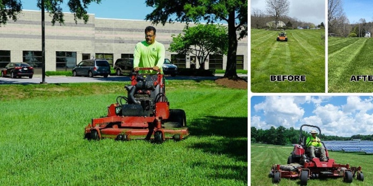 Garden Maintenance Eastlakes – Professional Lawn & Garden Care Services