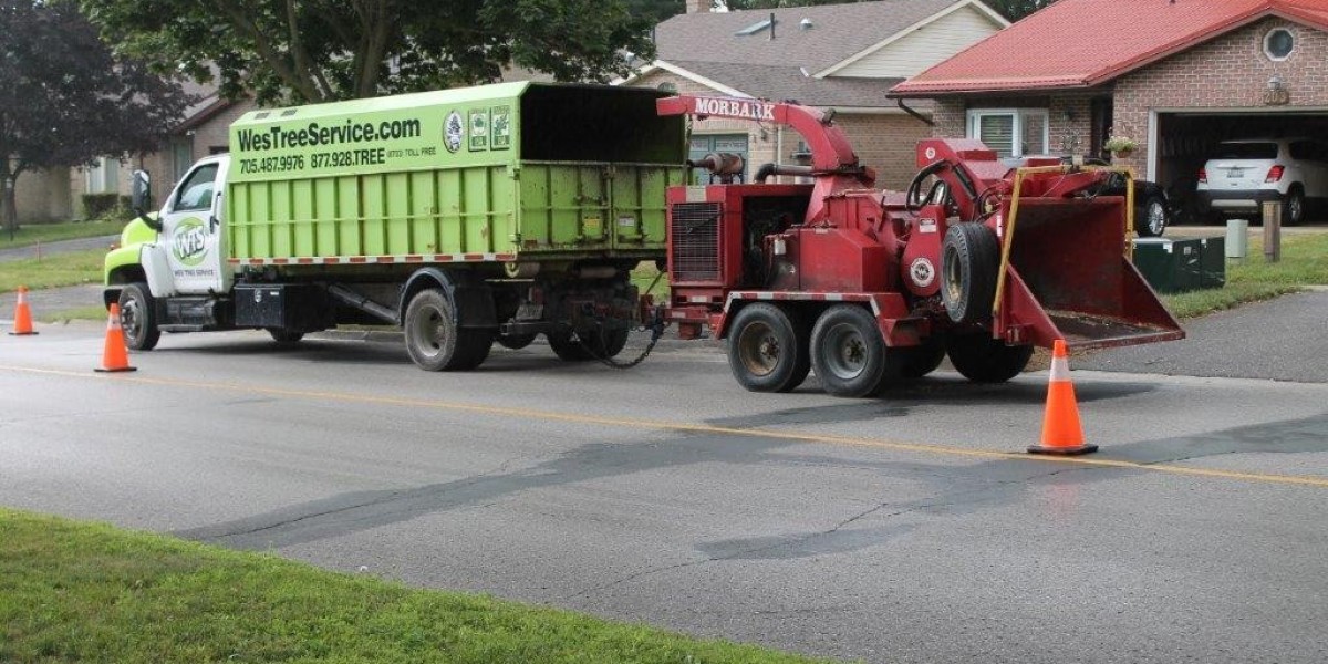 Tree Service Services for Healthy and Safe Landscapes