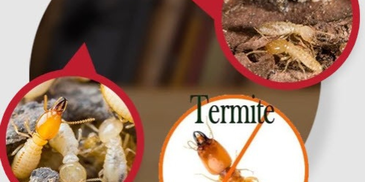 How Pest Control Campbelltown Services Keep Your Home Termite-Free