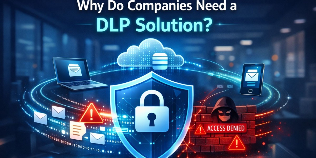 Why Do Companies Need a DLP Solution?