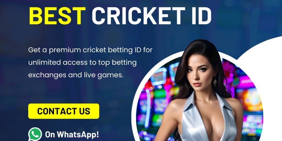 11xPlay Account Login – Easy Steps for Beginners