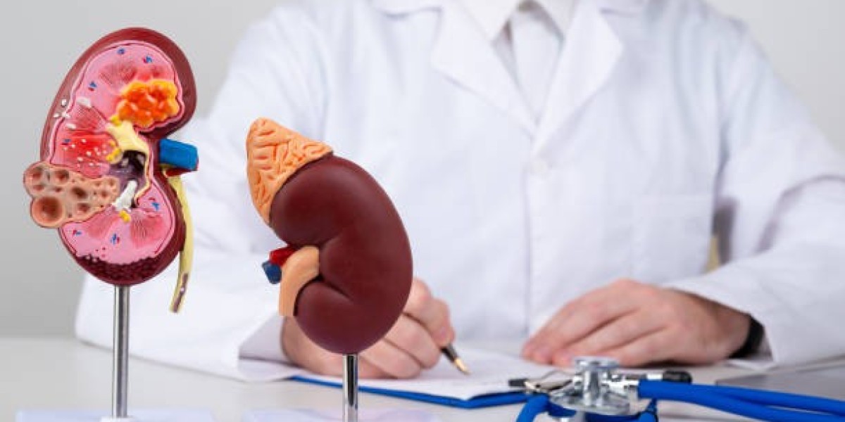 Finding the Right Kidney Specialist: A Complete Guide to Nephrology Care in Bangalore
