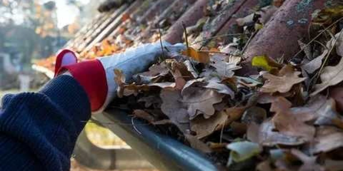 How Regular Gutter Cleaning in Park Orchards Saves You Money and Prevents Repairs