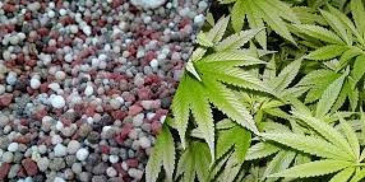 Cómo mejorar la fertilidad del suelo con fertilizantes adecuados